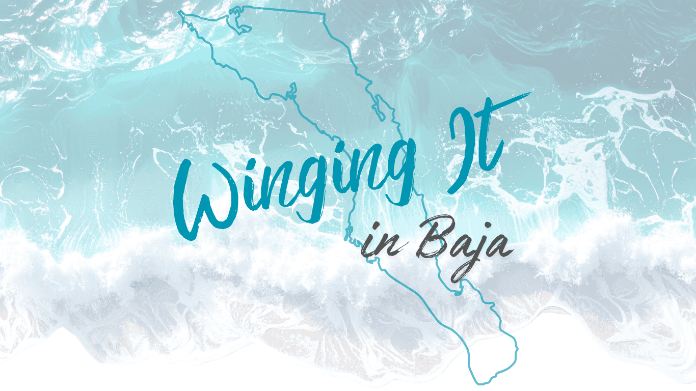Image of waves on a beach with blue water, the outline of the state of Baja California and Baja Californa Sur, and Winging It In Baja written across the front.